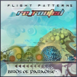 Birds of Paradise - Flight Patterns Re_Routed